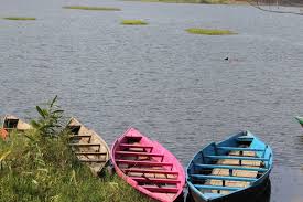 Chandubi Lake hohua picnic spot