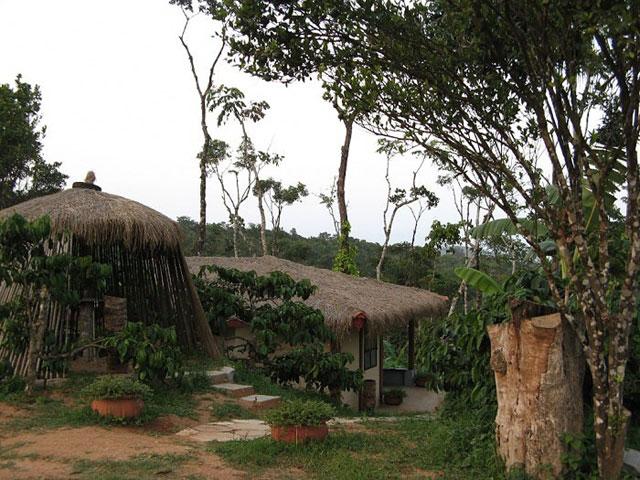 Karadigundi Estate Homestay in Chikmagalur