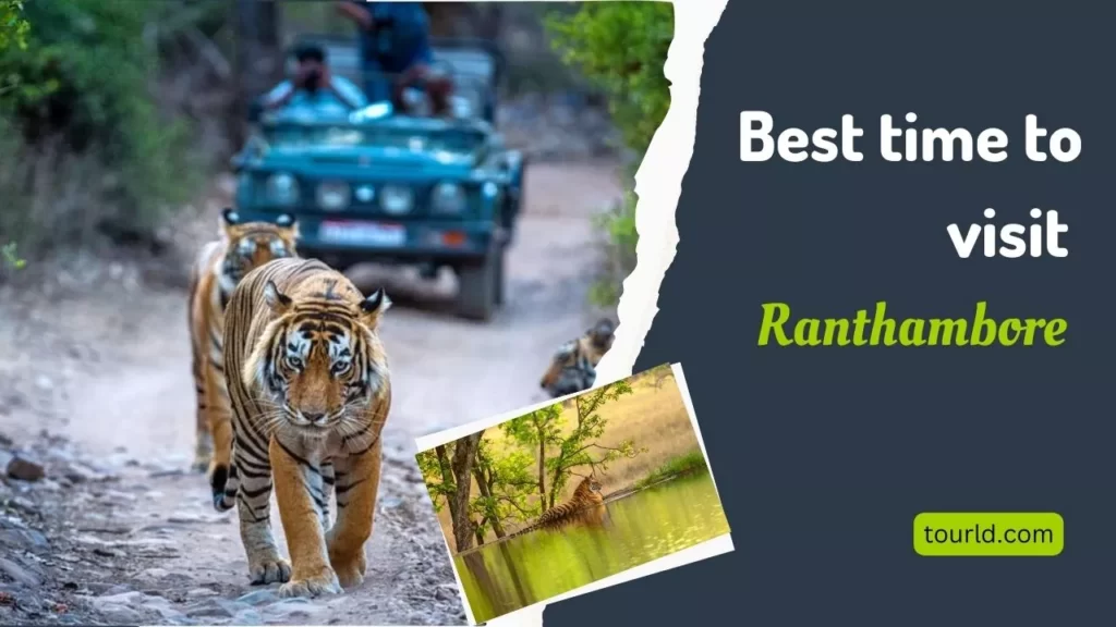 Best Time To Visit Ranthambore