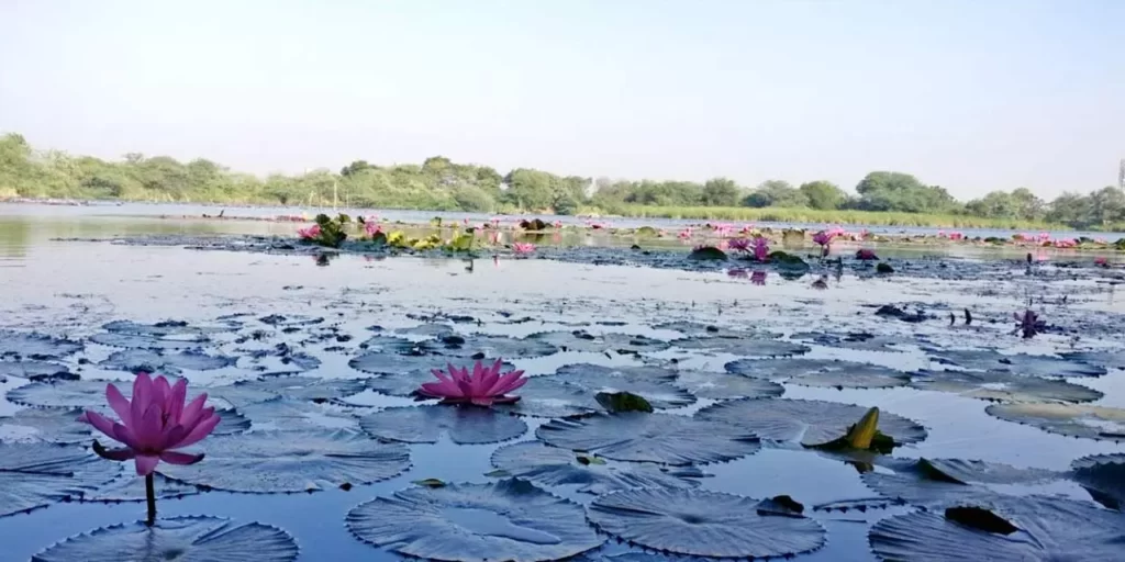 Gavier Lake Place to Visit in Surat with Friends