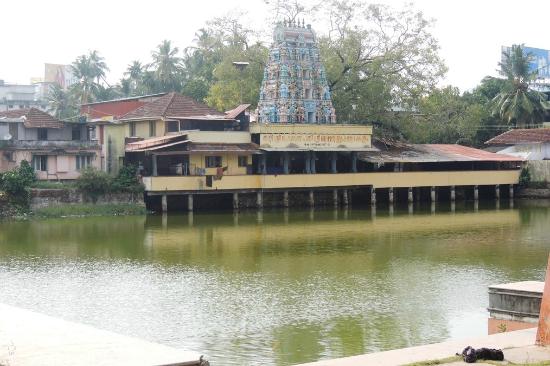 Tali Siva Temple Pond Best Kozhikode Tourist Places