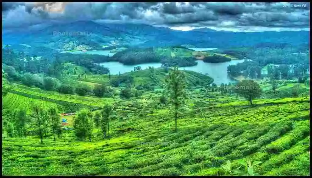 Emerald Lake Most Romantic Places to Visit in Ooty