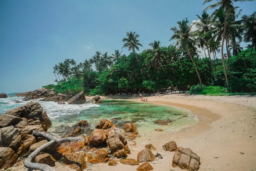 Mirissa Best One Day Trip for Couples in Sri Lanka