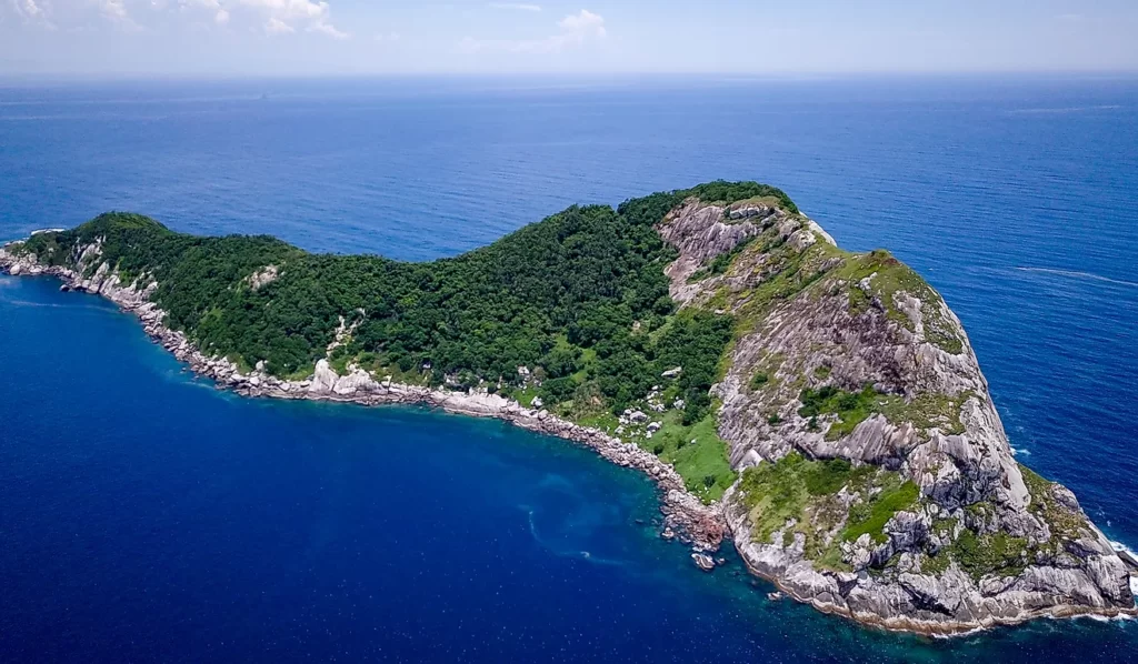 Snake Island Most World's Dangerous Place