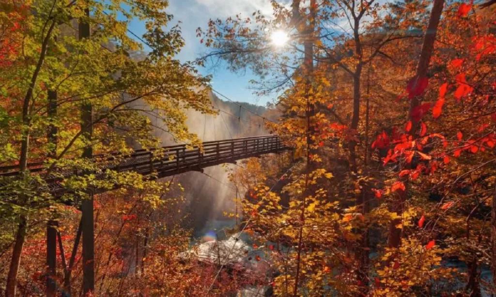 Tallulah Gorge State Park Best One-Day Trips From Atlanta