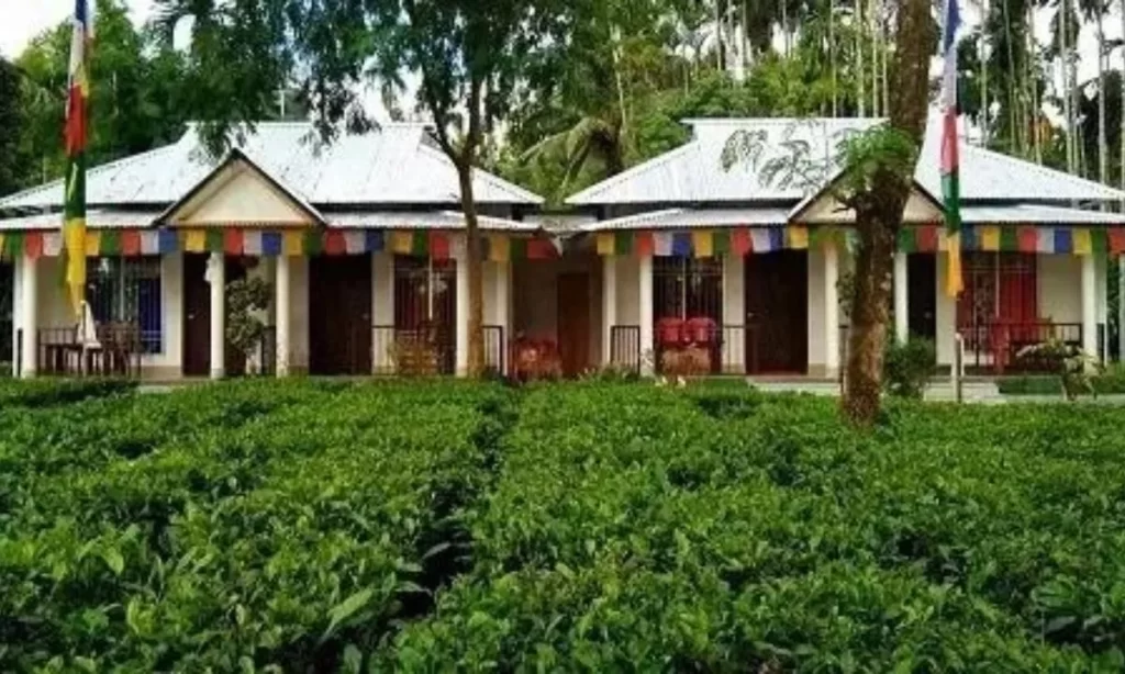 Tea Garden Cottage In Sittong