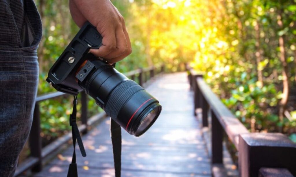 Joygaon Picnic Park Photography 