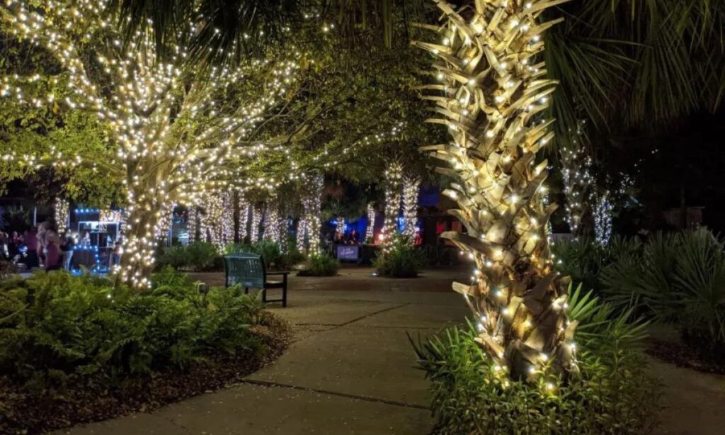 Columbia's Riverbanks Zoo and Garden Lights Best Places to Visit in South Carolina in December