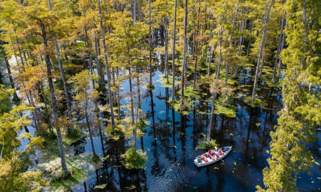 Cypress Gardens Best Places to Visit in South Carolina in December