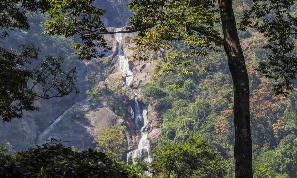 Kovai Kutralam Falls One Day Trip In Coimbatore 