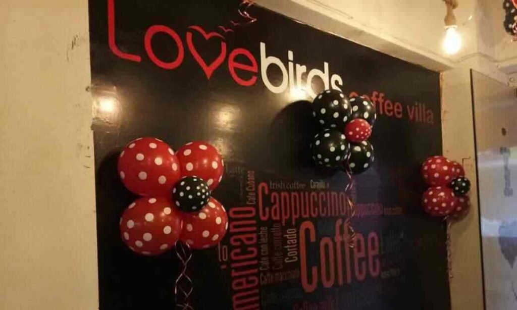 Lovebirds Nest Best Private Couple Box Cafes in Surat