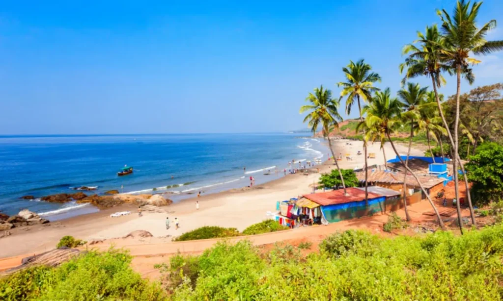 Must-Do Activities at Calangute Beach