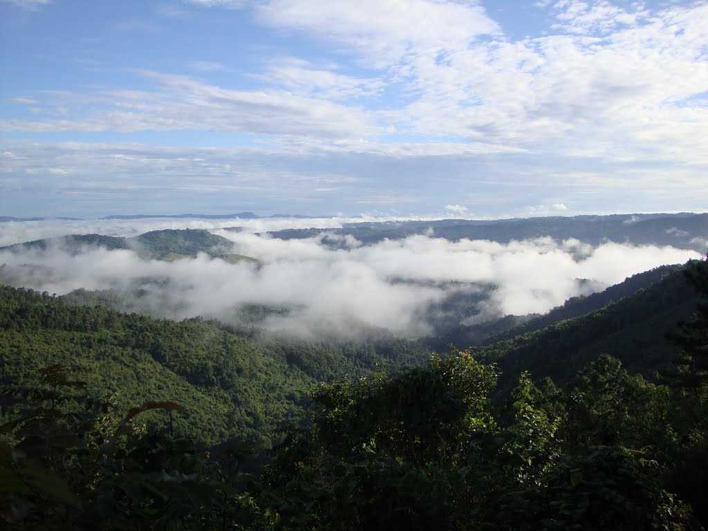 One of the most beautiful places in Shillong in summer, Sophet Buneng Peak is an important part of Shillong tourism.
