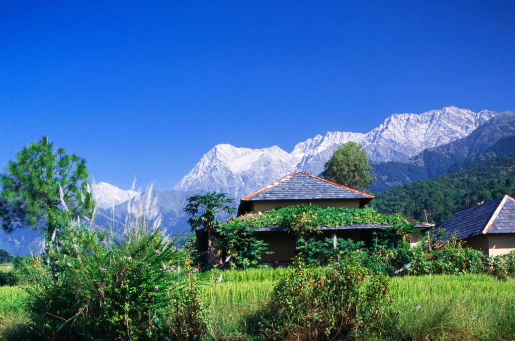 Palampur, the tea-growing region of Himachal Pradesh, is about an hour from Dharamsala in the Kangra Valley. 