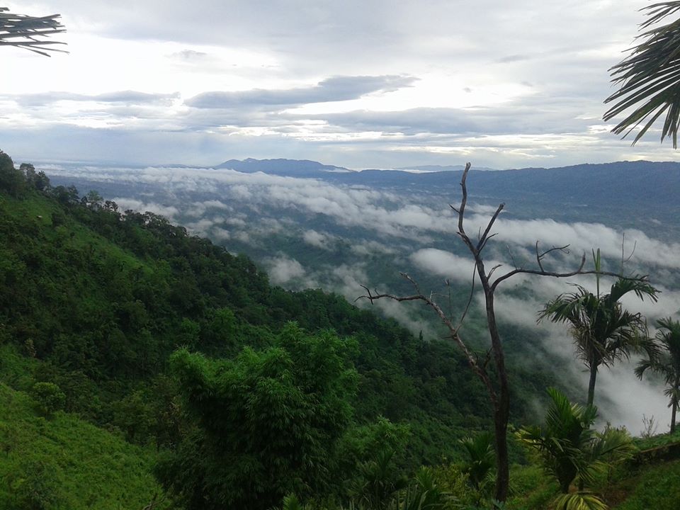 Located in the northern part of Tripura, Jampui Hills is one of Tripura's most famous spots. These hills are at an altitude of 1000 meters above sea level. 