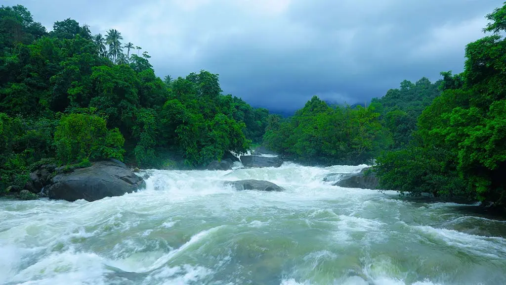 Arippara Waterfalls - Wayanad Tourist Places list to Visit
