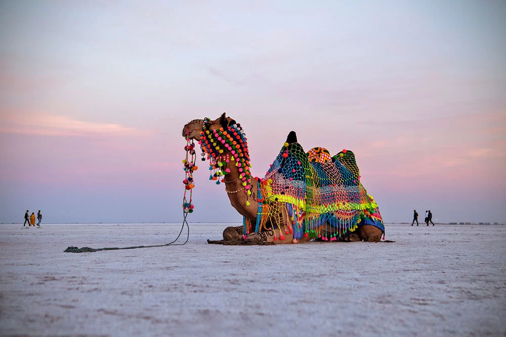 Rann of Kutch, Gujarat Places To Visit In Winter In India