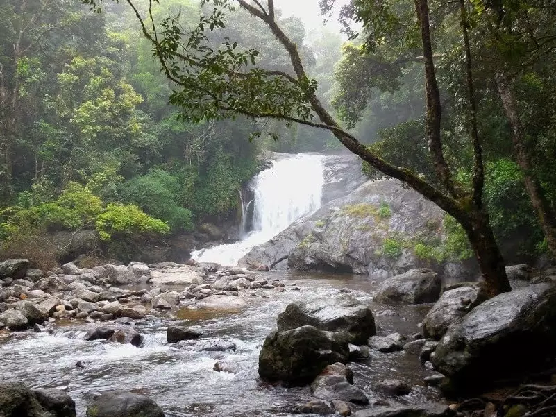 Lakkom Waterfall, Munnar