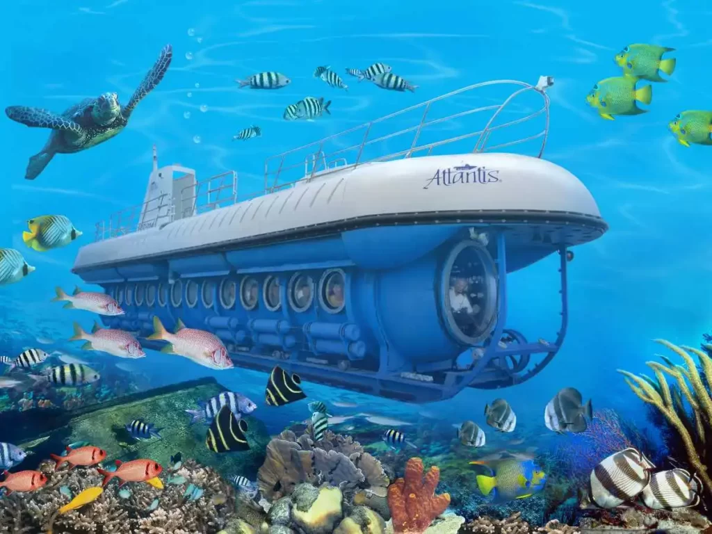 The Whale Submarine Maldives tourist places