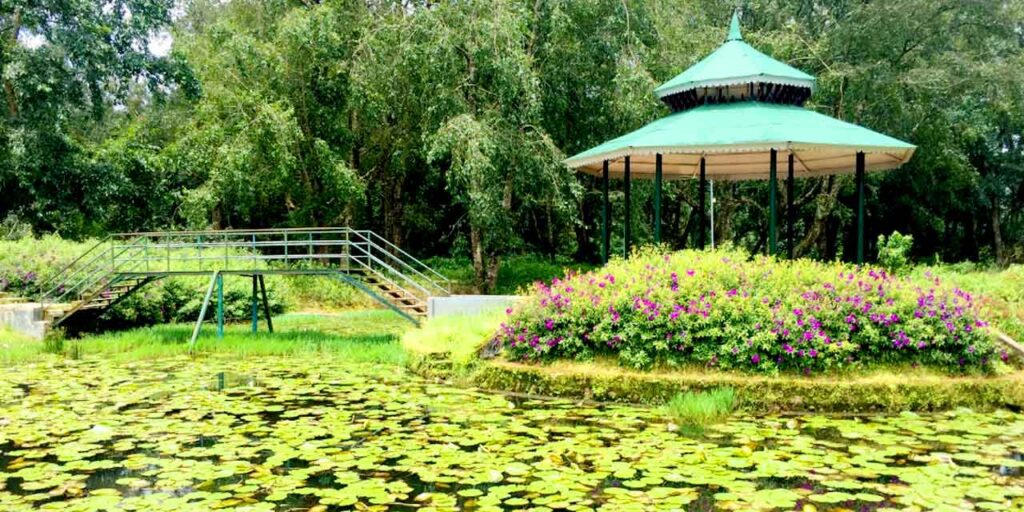 Blossom Park, Munnar