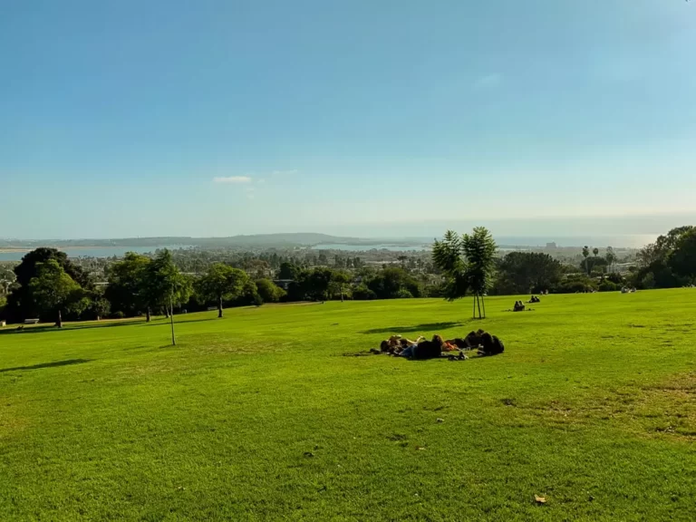 Kate Session, San Diego Picnic Spot