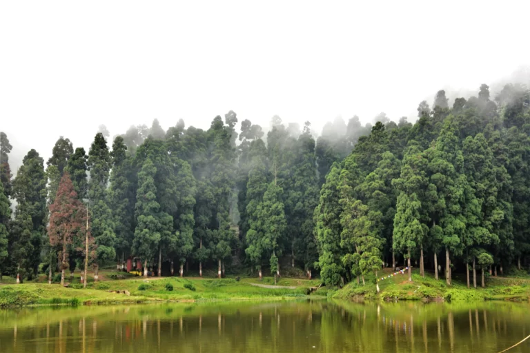 Best time to visit mirik tourist spot