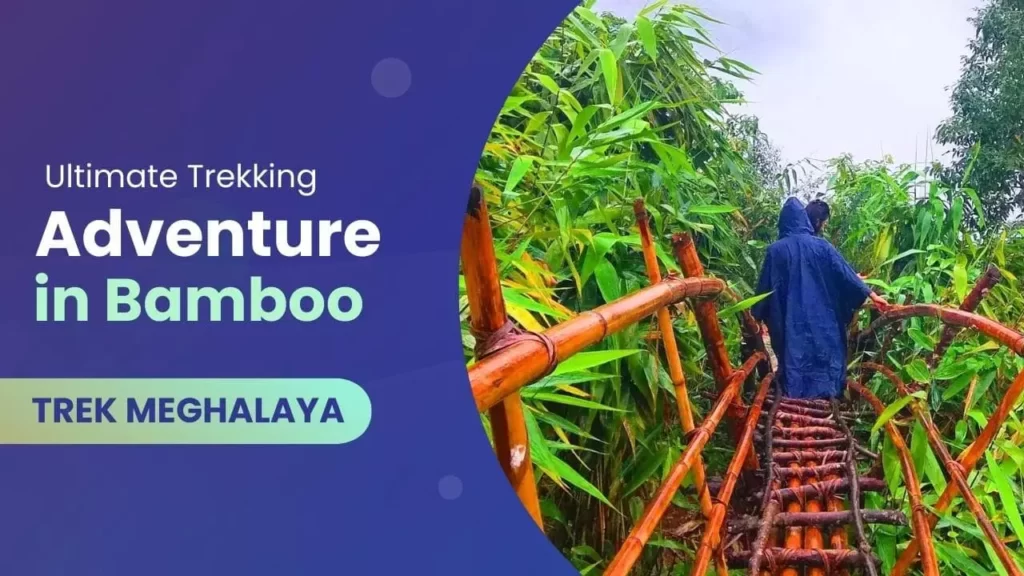 Ultimate Trekking Adventure in Bamboo Trek Meghalaya