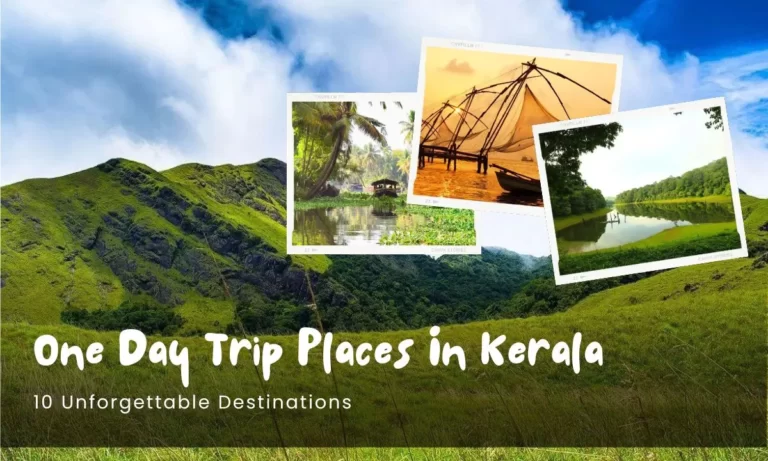 One Day Trip Places In Kerala 10 Unforgettable Destinations