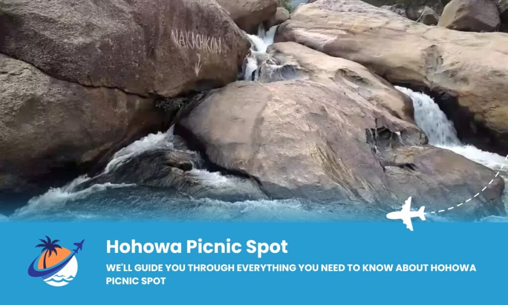 Hohowa Picnic Spot Offers a Serene Atmosphere, Abundant Greenery