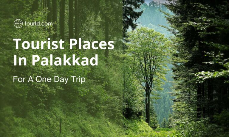 Top 10 Tourist Places In Palakkad For A One Day Trip