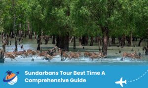 Sundarbans Tour Best Time A Comprehensive Guide