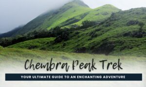 Chembra Peak Trek Your Ultimate Guide to an Enchanting Adventure