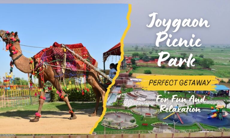Joygaon Picnic Park Perfect Getaway For Fun And Relaxation