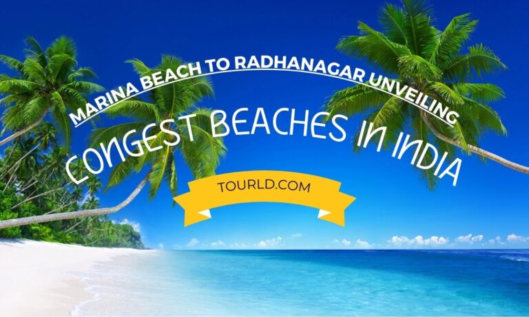 Marina Beach To Radhanagar Unveiling The Longest Beaches In India