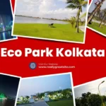 Eco Park Kolkata- Cultural Events, Key Attractions, Timing, Price