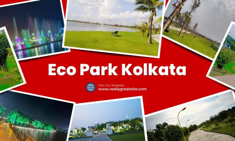 Eco Park Kolkata- Cultural Events, Key Attractions, Timing, Price