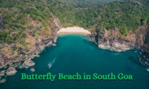 Butterfly Beach in South Goa