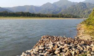 Mathanguri Picnic Spot in Assam a  Hidden Gem for Nature Lovers