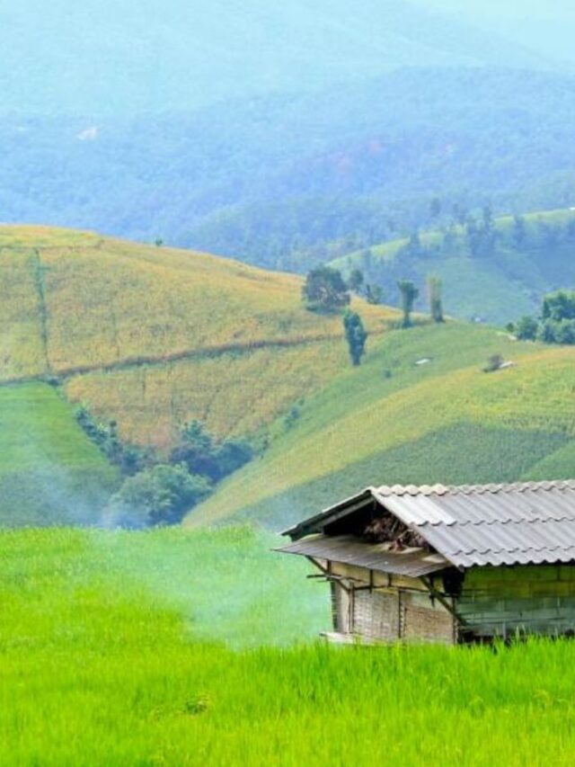 Kongthong, Meghalaya