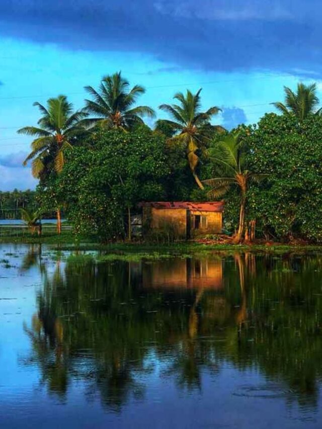 10 Breathtaking One-Day Trips from Alleppey