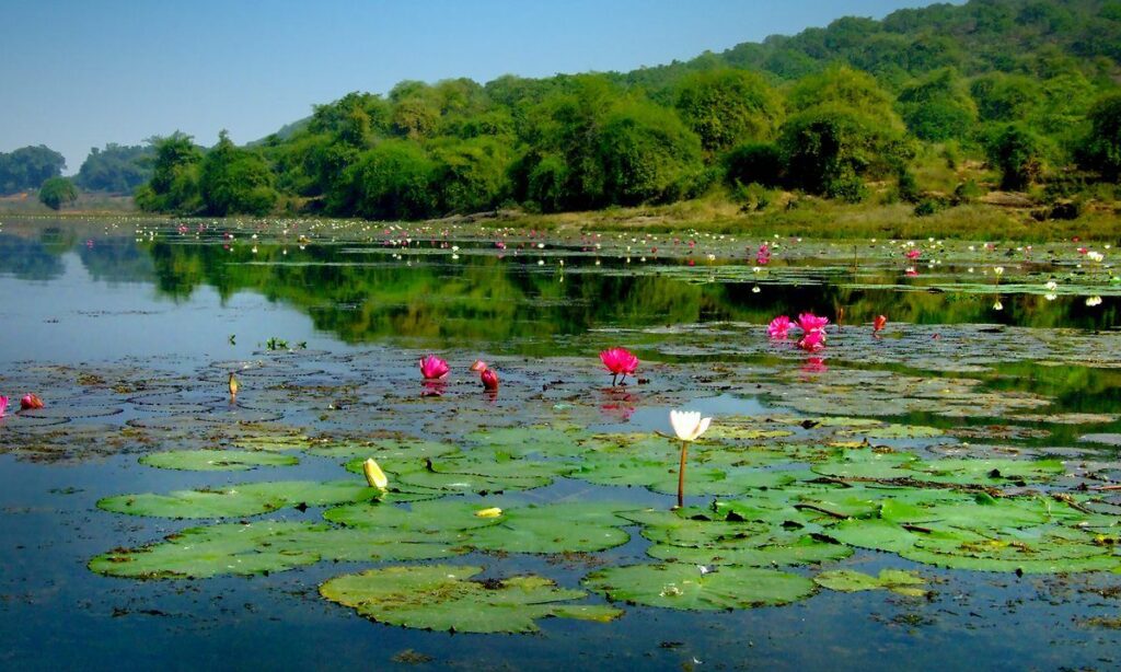 Ansupa Lake - The Sweet Water Oasis