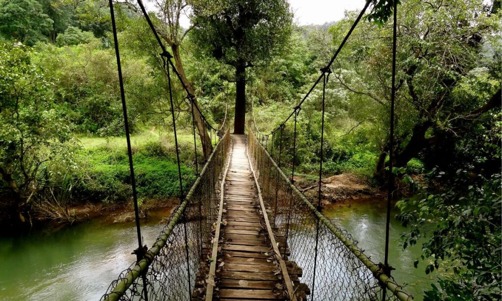 Coorg, Karnataka