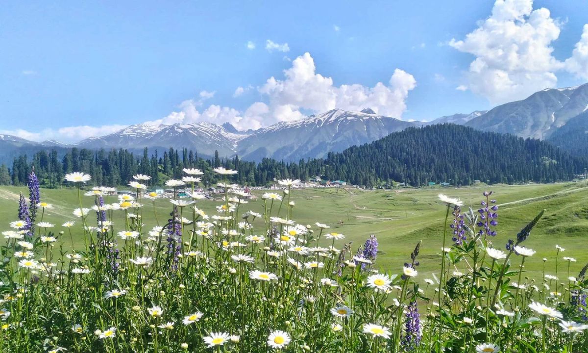 Gulmarg, Jammu & Kashmir: The Meadow of Flowers