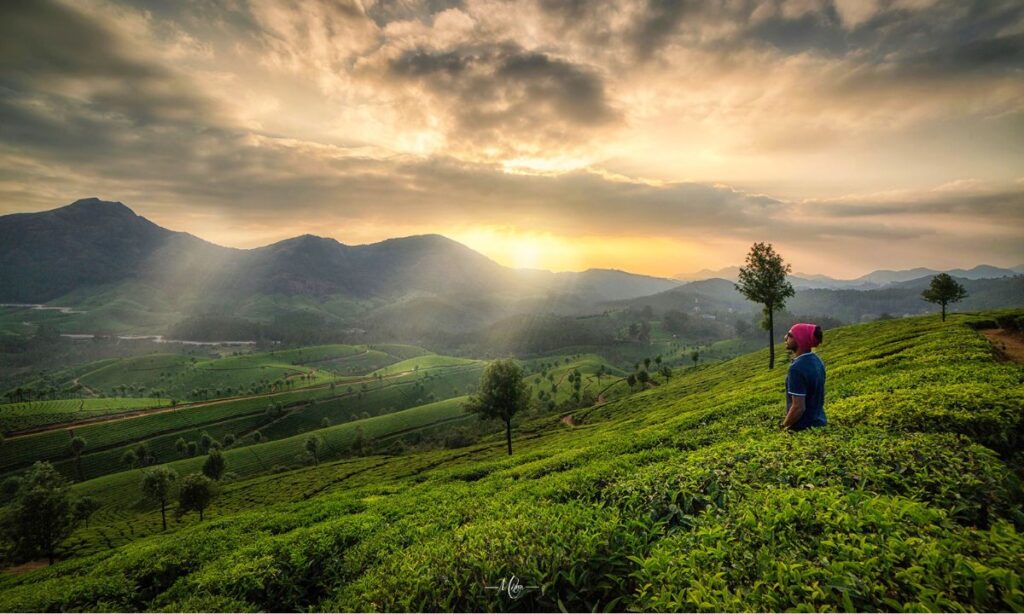 Munnar, Kerala