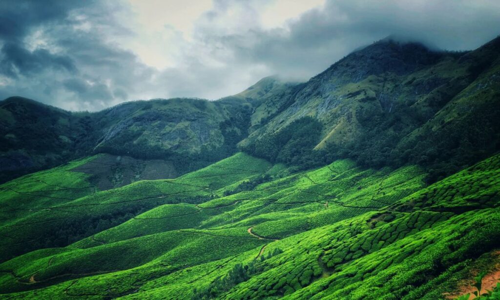 Munnar, Kerala: The Emerald Paradise
