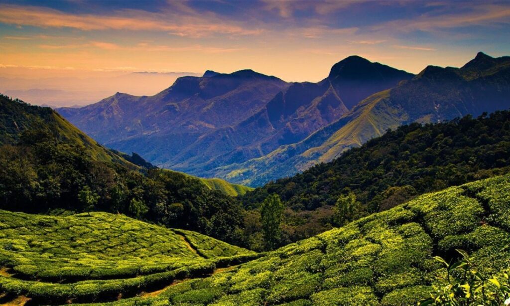 Ooty, Tamil Nadu: The Queen of Hills
