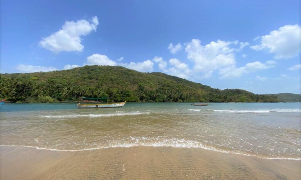 Tsunami Island: The Action Zone