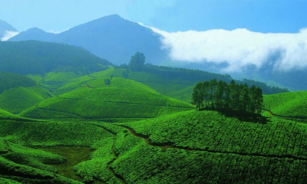 Ooty: The Queen of Hill Stations