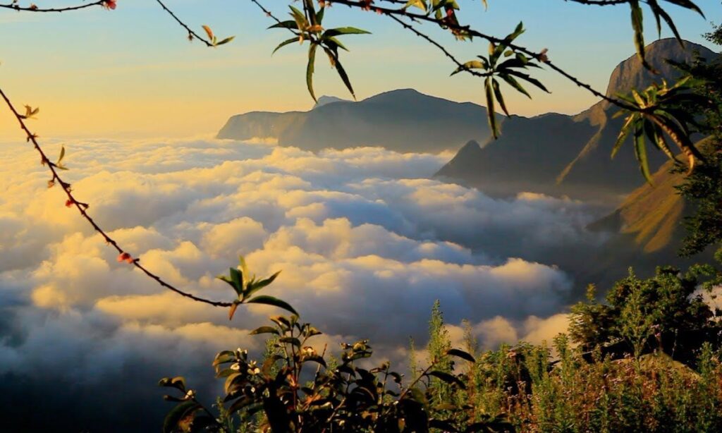 Munnar: The Green Haven