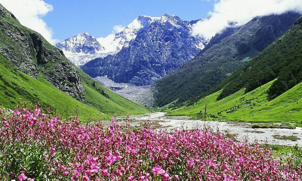 Valley of Flowers, Uttarakhand